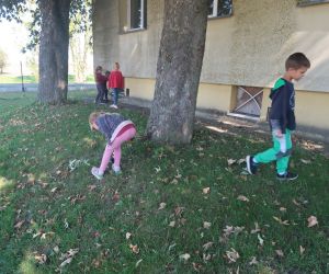 Dzieci z zerówki porządkują teren szkoły