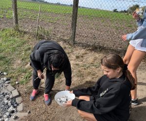 Nauczycielka wybiera ziemniaki z ogniska