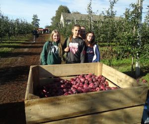 Trzy uczennice przy skrzyni wypełnionej jabłkami