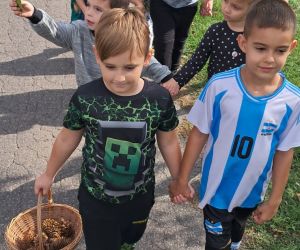 Dzieci szukają darów jesieni.